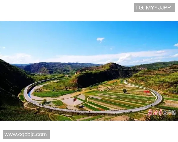 新野足球崛起之路:从草根到世界舞台的传奇旅程